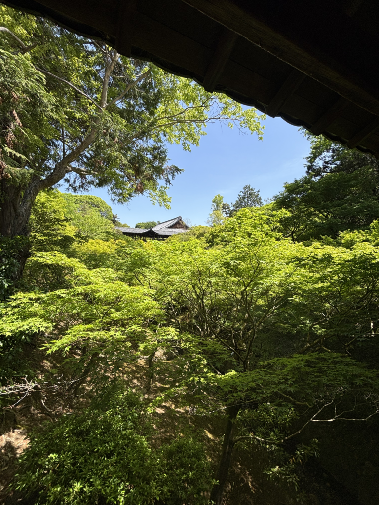 東福寺(京都)の写真