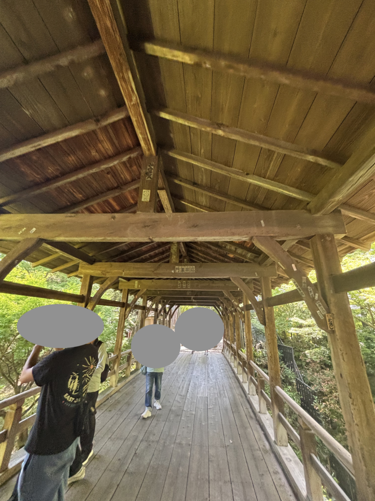 東福寺(京都)の写真