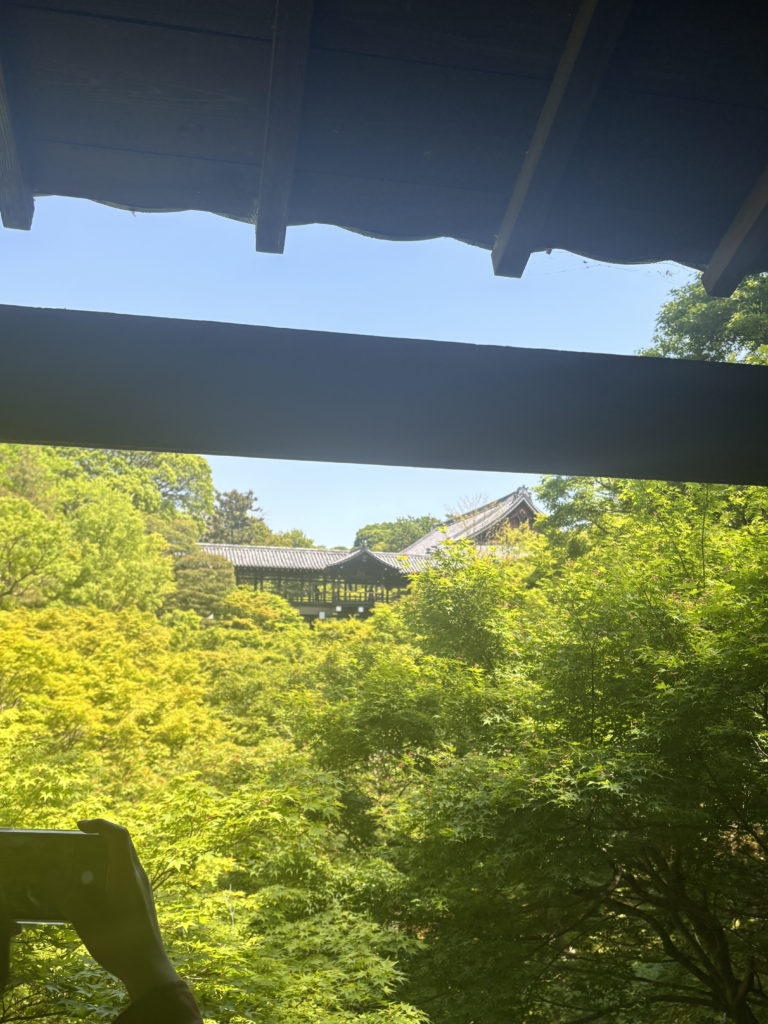 東福寺(京都)の写真