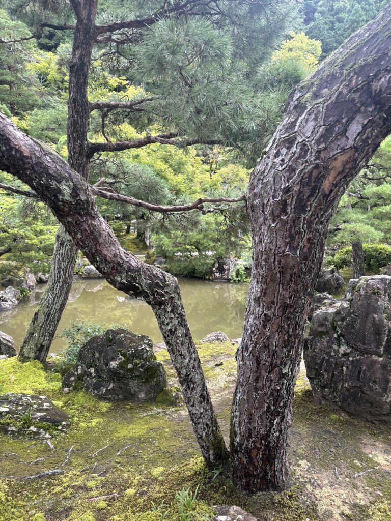 慈照寺（銀閣）の写真