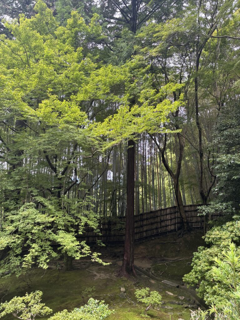 慈照寺（銀閣）の写真