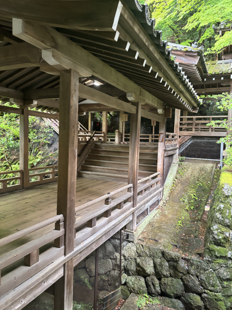 禅林寺 (永観堂)の写真