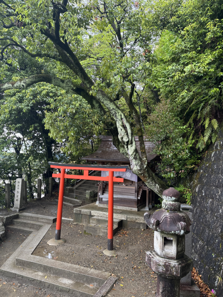 禅林寺 (永観堂)の写真