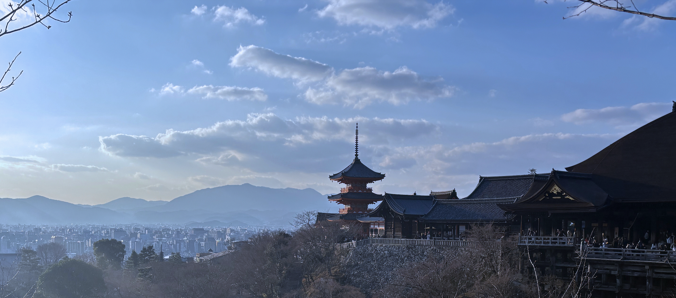 京都あひるメディア