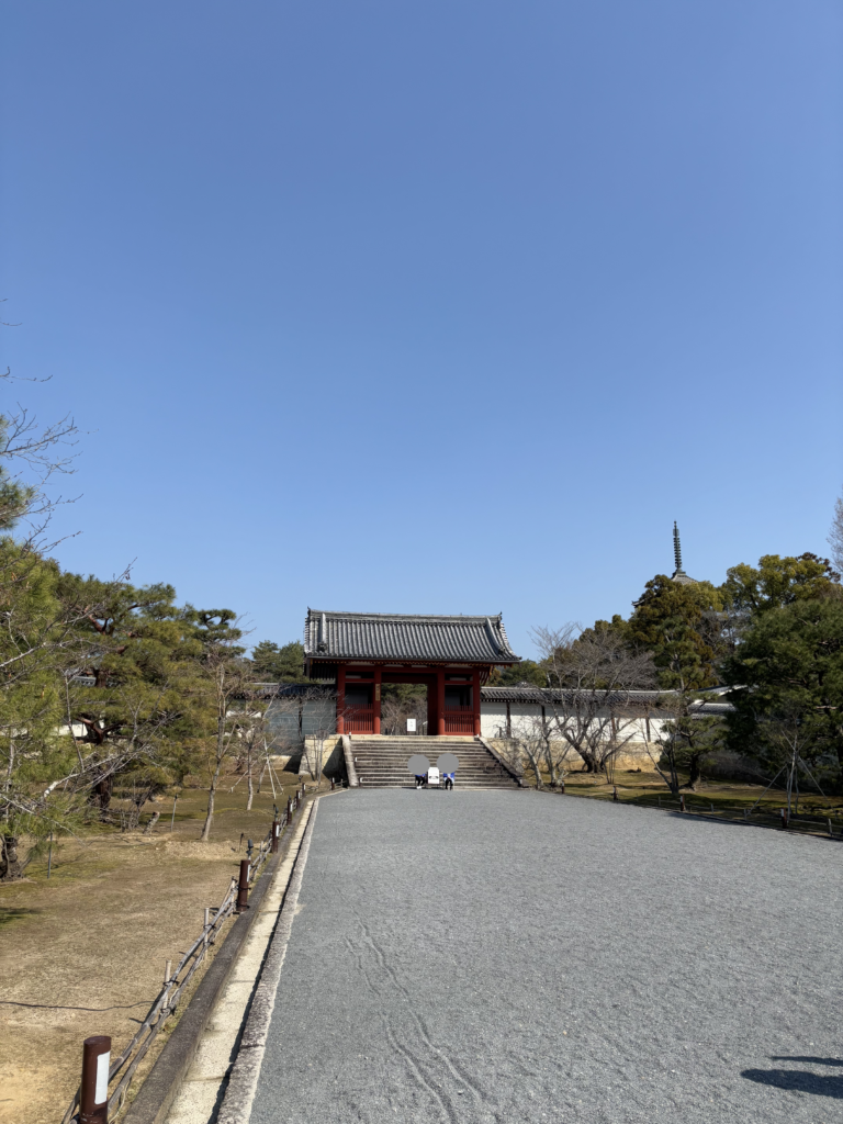 仁和寺(にんなじ)/京都 - 🦆あひるメディア