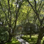 苔寺（京都）の写真