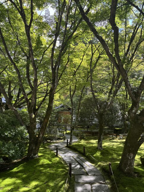 苔寺（京都）の写真