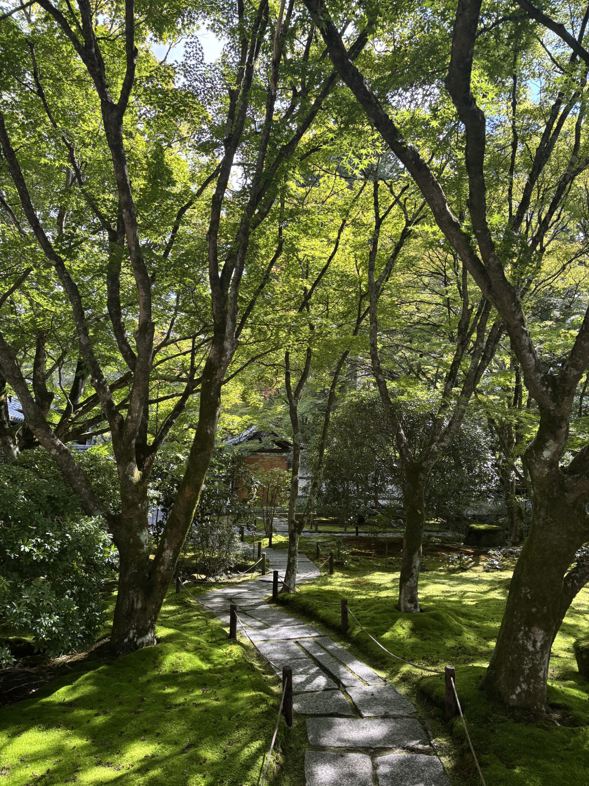 苔寺（京都）の写真