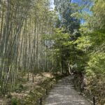 竹寺（京都）の写真