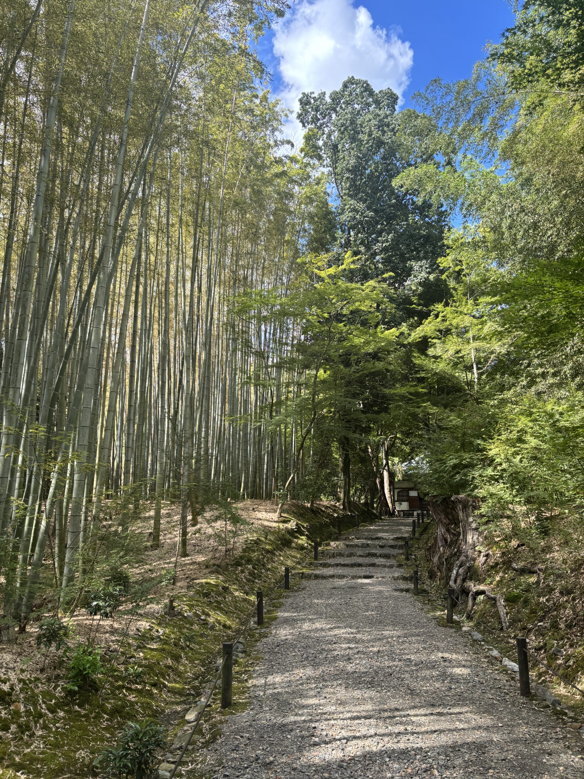 竹寺（京都）の写真