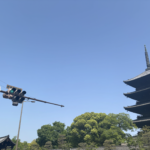 東寺の写真