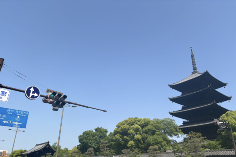東寺の写真