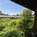 東福寺(京都)の写真