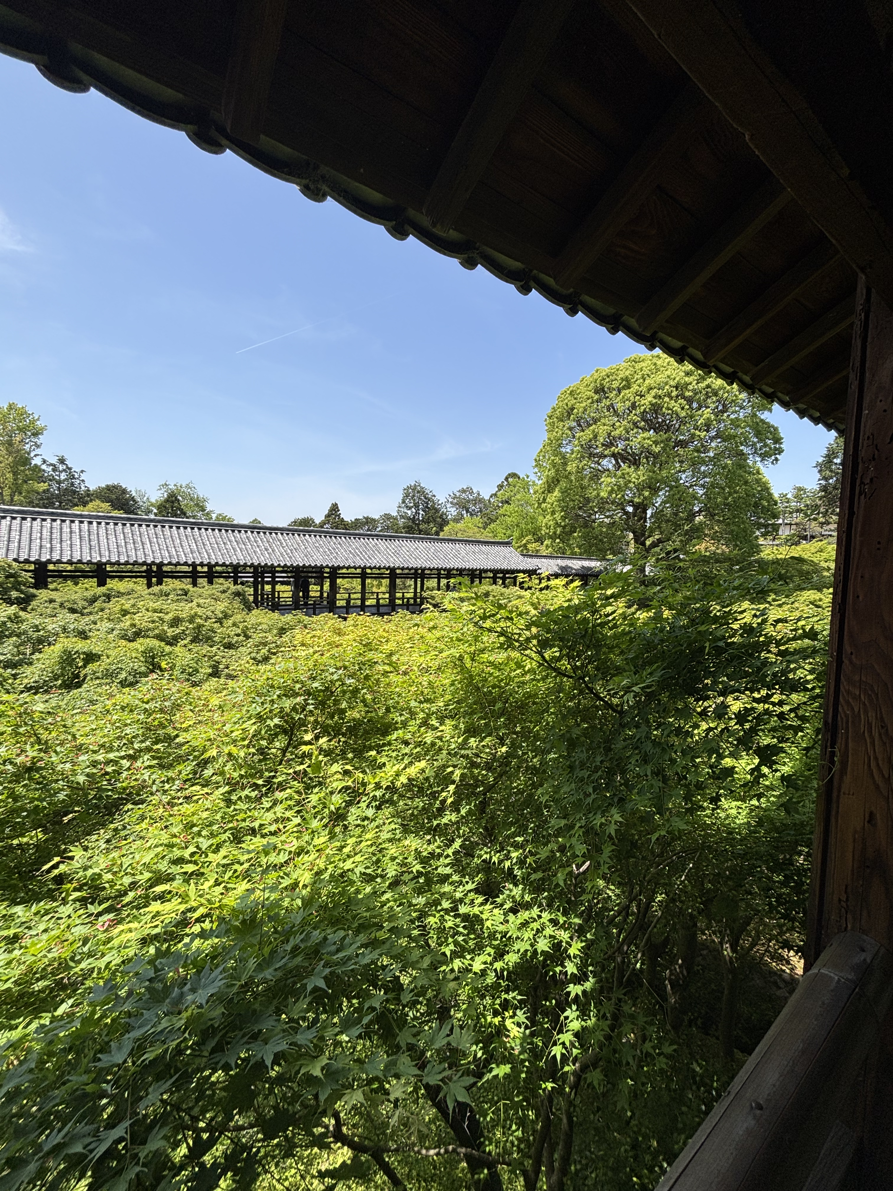 東福寺(京都)の写真