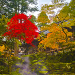 永平寺の写真